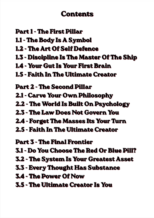 SUCCESS FREQUENCY E-BOOK | PRINCIPLES OF THE TOP 1%